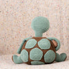 

Theo the Turtle
3