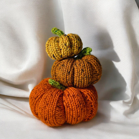 

Citrouilles Tweedy
3