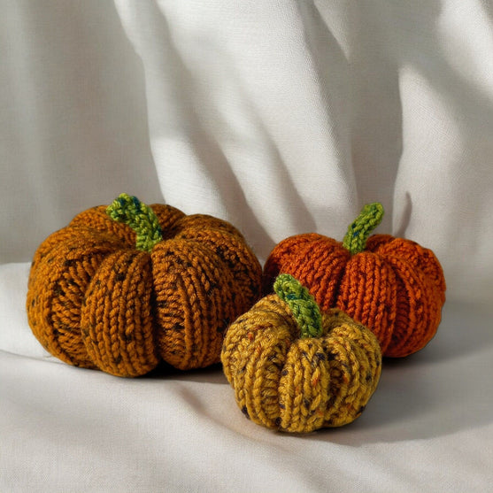 

Citrouilles Tweedy
2