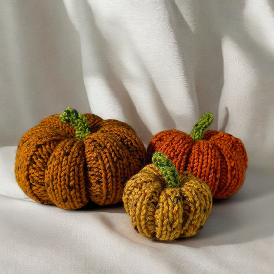 

Tweedy Pumpkins
2