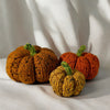 

Tweedy Pumpkins
2