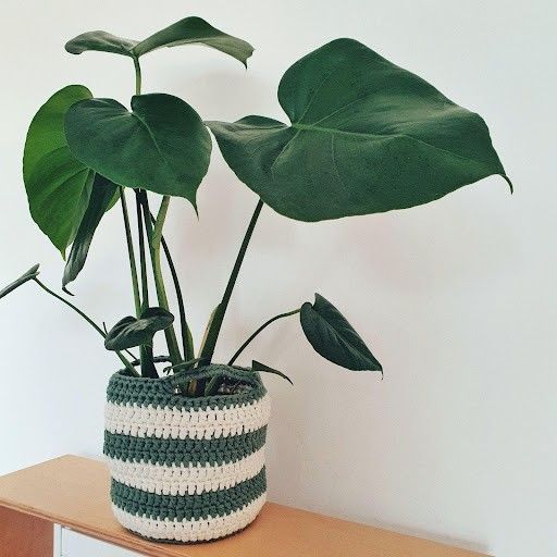 June - Panier à Plante